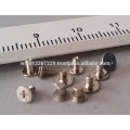 Micro Screw, Fastener, Metal Rivet Pin & cold forging part